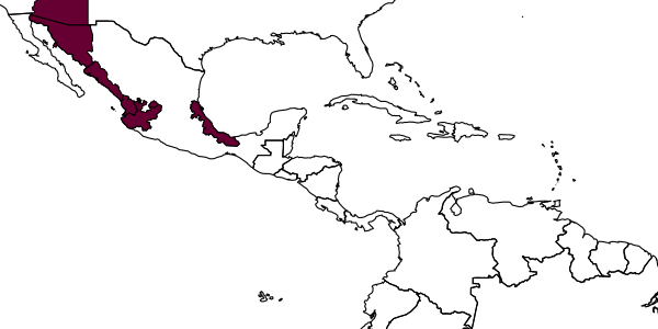 map of Ptiloglossa jonesi     Timberlake, 1946